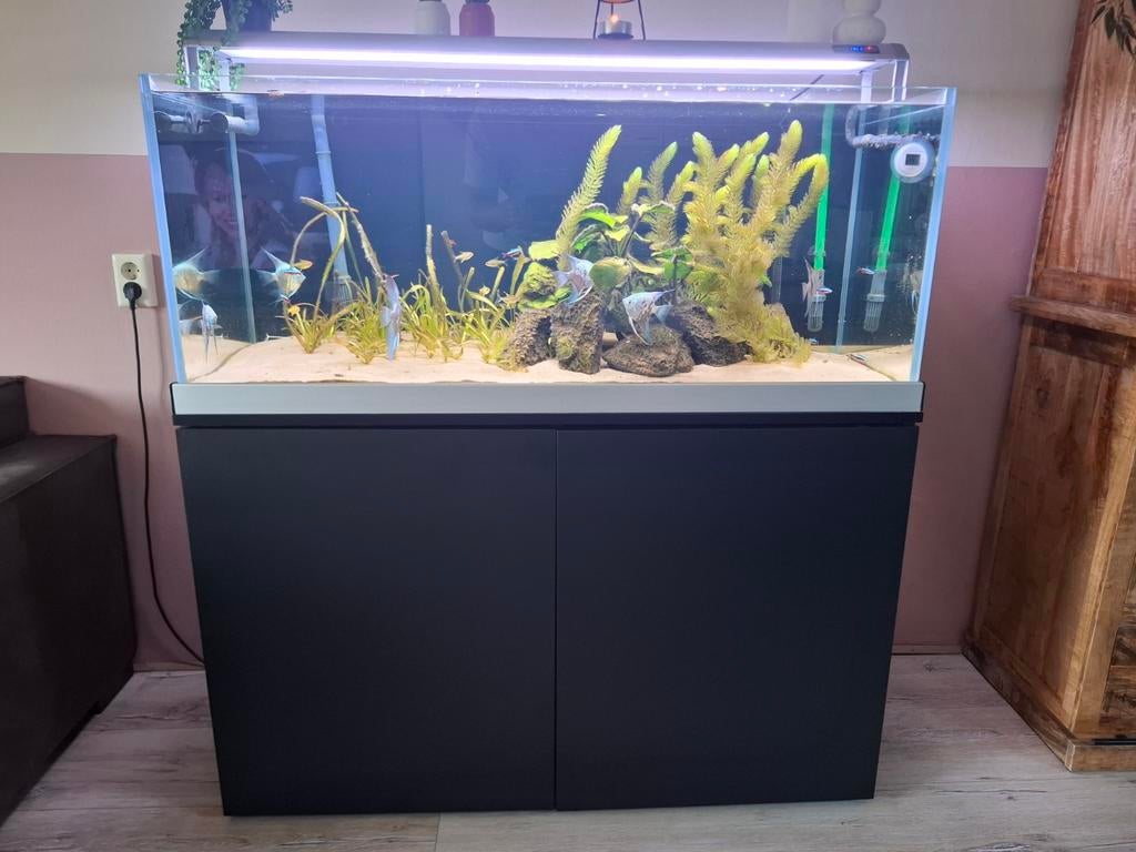 Aquarium 120 cm trofis heros h-1200 compleet, Ophalen, Gebruikt, Gevuld zoetwateraquarium