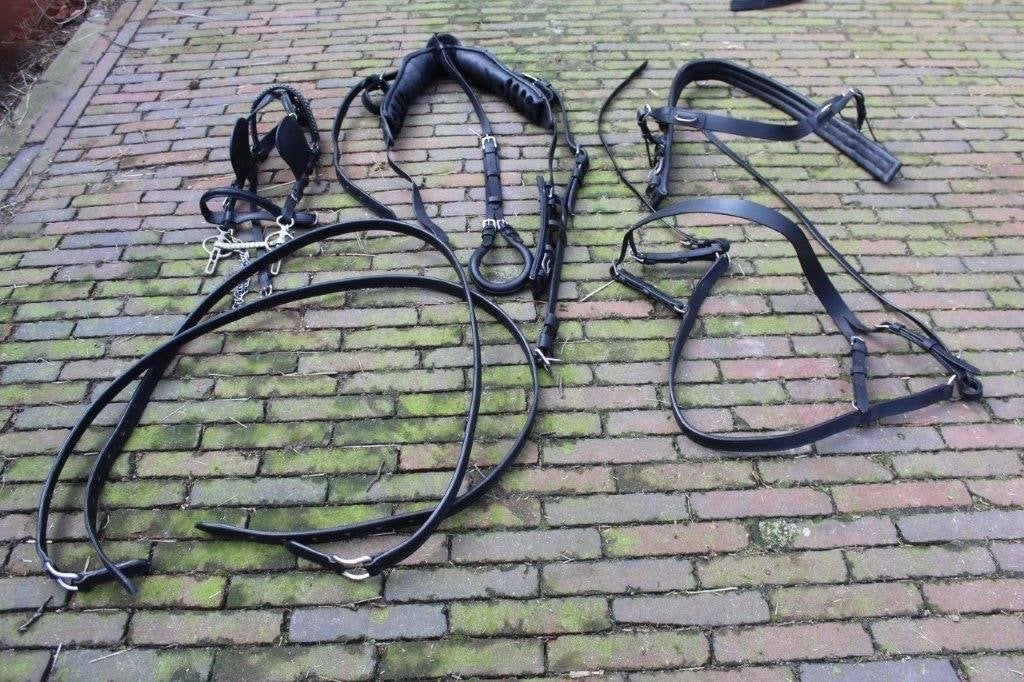 Te koop leren 2-span tuig voor D-pony, 2 stuks, Recreatie, Zo goed als nieuw, Borsttuig, BR