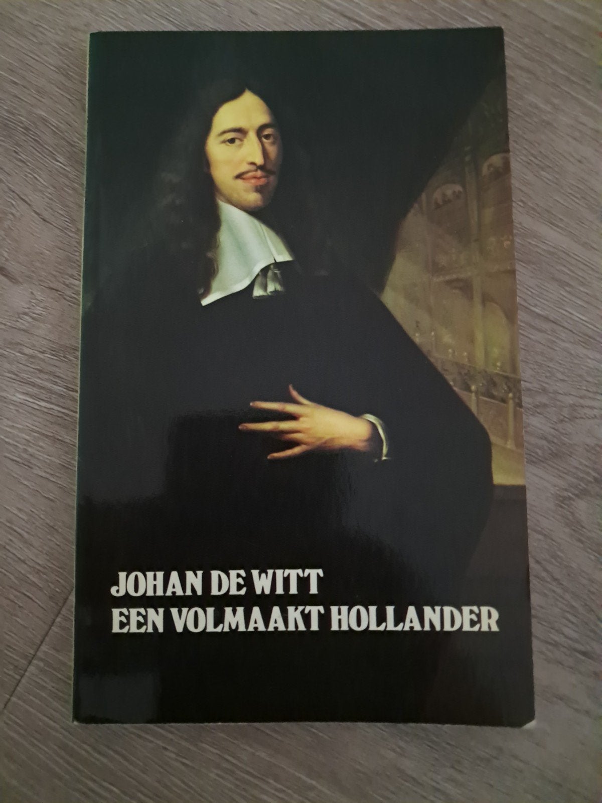 C8 Johan de Witt: Een Volmaakt Hollander - Historisch Boek, Ophalen of Verzenden, 20e eeuw of later, Gelezen, Onbekend