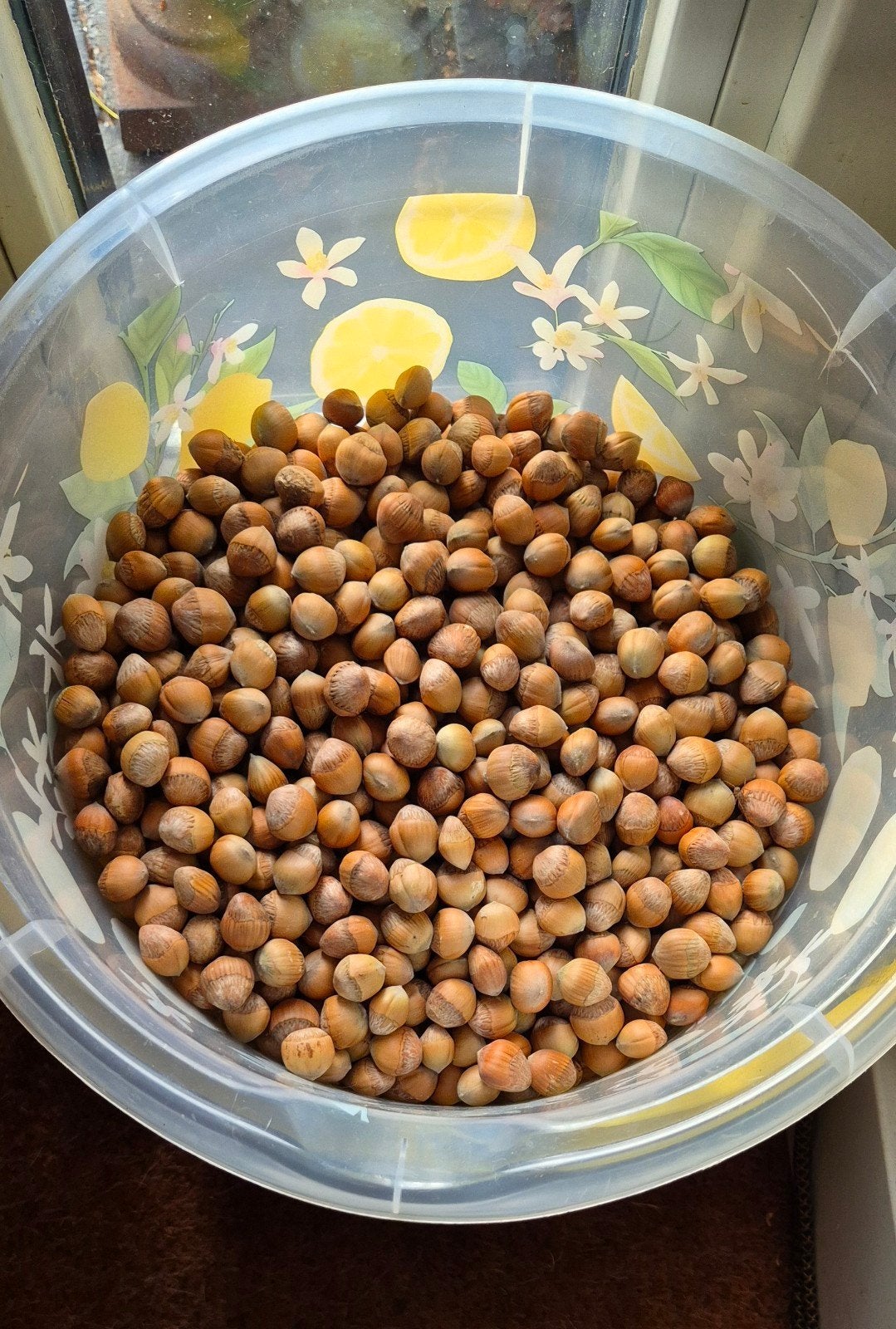 +/- 6kg hazelnoten, Diversen, Ophalen