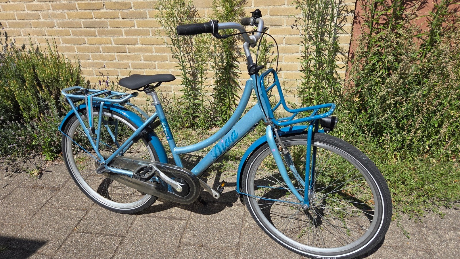 Batavus Diva meisjesfiets 3v terugtraprem, 26 inch, Fietsen en Brommers, Fietsen | Meisjes, Terugtraprem, Gebruikt, Versnellingen
