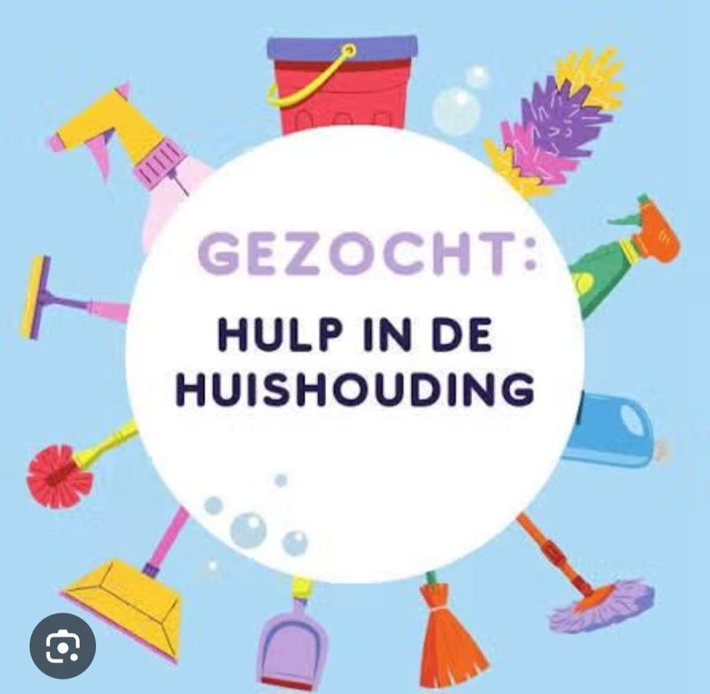 Gezocht hulp in de huishouding!, Overige niveaus, Overige vormen