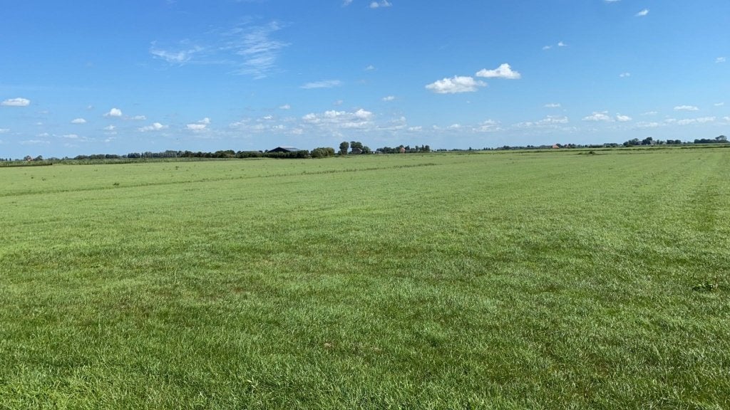 Doorlopend grote hoeveelheden gras op stam, balen of pakken!, Dieren en Toebehoren, Ophalen of Verzenden, Vee