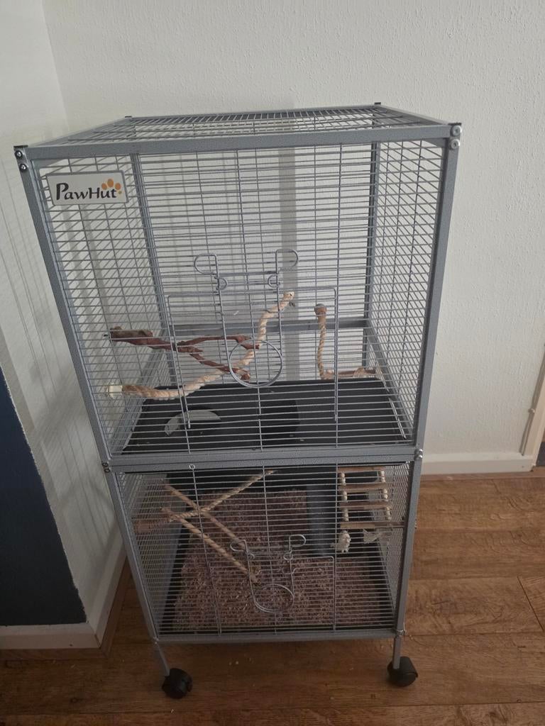 Knaag dieren kooi, Dieren en Toebehoren, Knaagdieren en Konijnen | Hokken en Kooien, Ophalen, Kooi, Minder dan 75 cm, Zo goed als nieuw