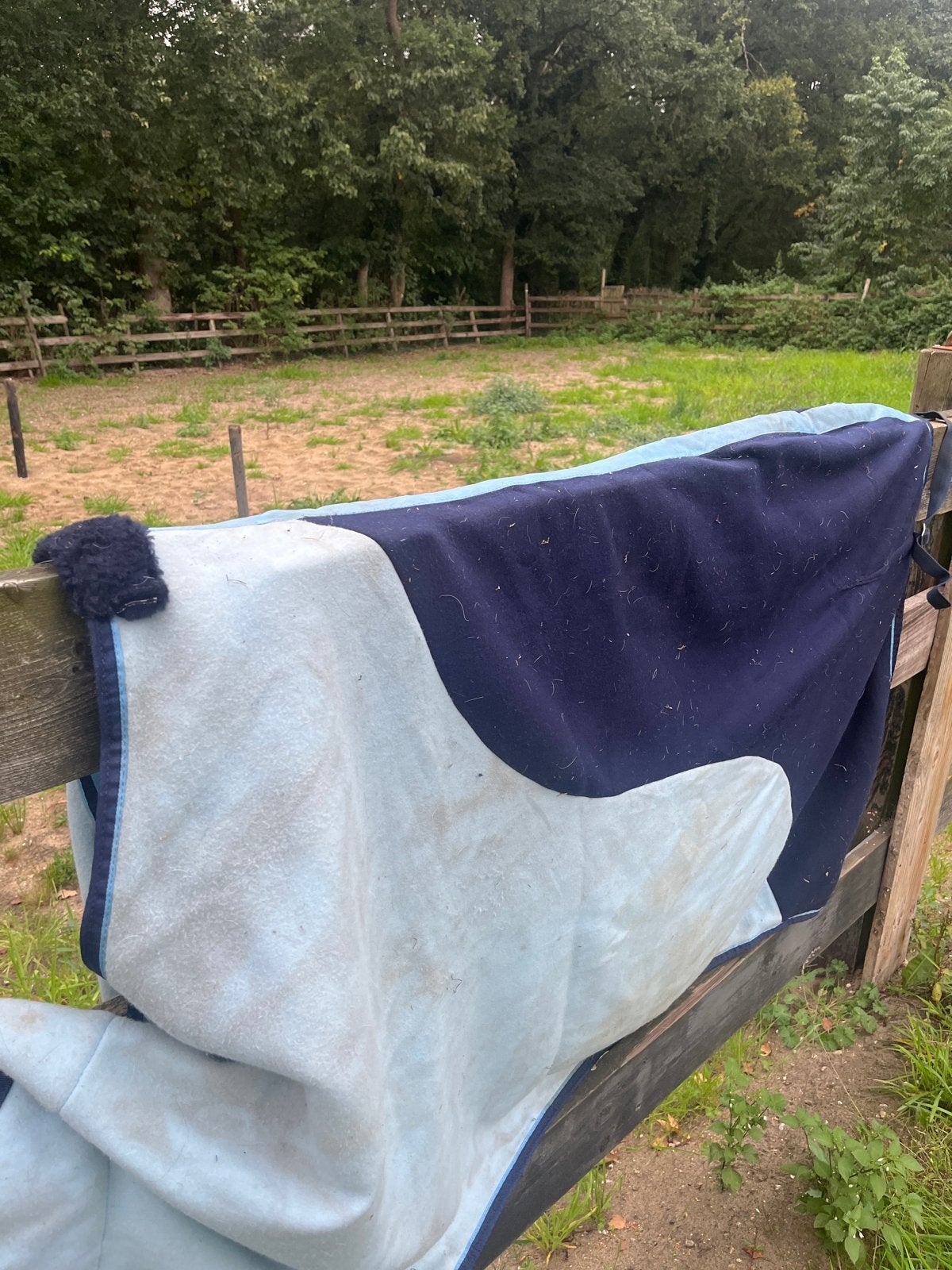 Paardendeken te koop, Ophalen of Verzenden