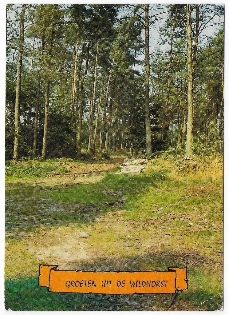 Heeswijk Wildhorst Gelopen Ansichtkaart ( B6019), Ophalen of Verzenden, 1980 tot heden, Gelopen