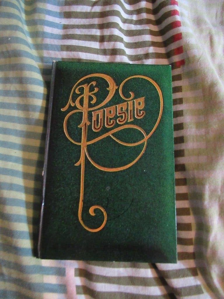 POESIE boekje vol met poëzie (1972) / poesiealbum, Meerdere auteurs, Diverse auteurs, Ophalen of Verzenden, Zo goed als nieuw