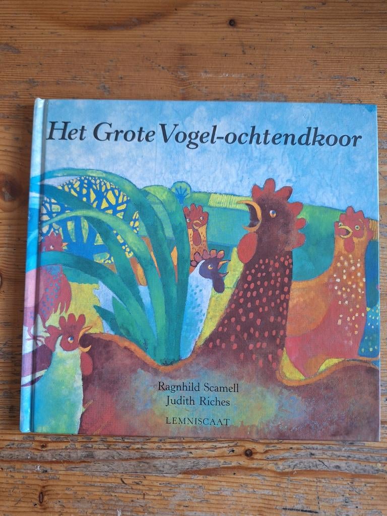 Het Grote Vogel-ochtendkoor - Prentenboek, Ophalen of Verzenden, Zo goed als nieuw, Ragnhild Scammell, Judith Riches, Fictie algemeen