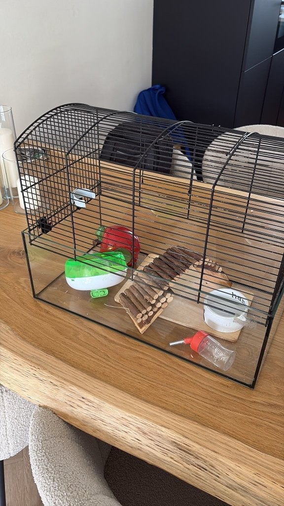 Hamsterkooi, Kooi, Gebruikt, Minder dan 75 cm, Muis