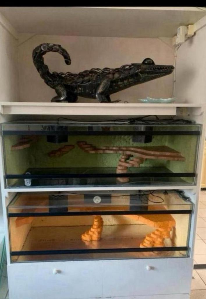 Grote terrariumkast met 2 terrariums 120x50x40, Dieren en Toebehoren, Reptielen en Amfibieën | Toebehoren, Ophalen, Zo goed als nieuw