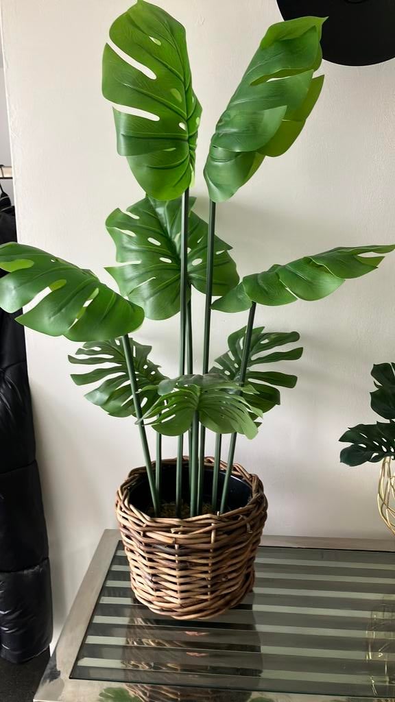 Kunstpalm 85 cm in rieten pot, Ophalen