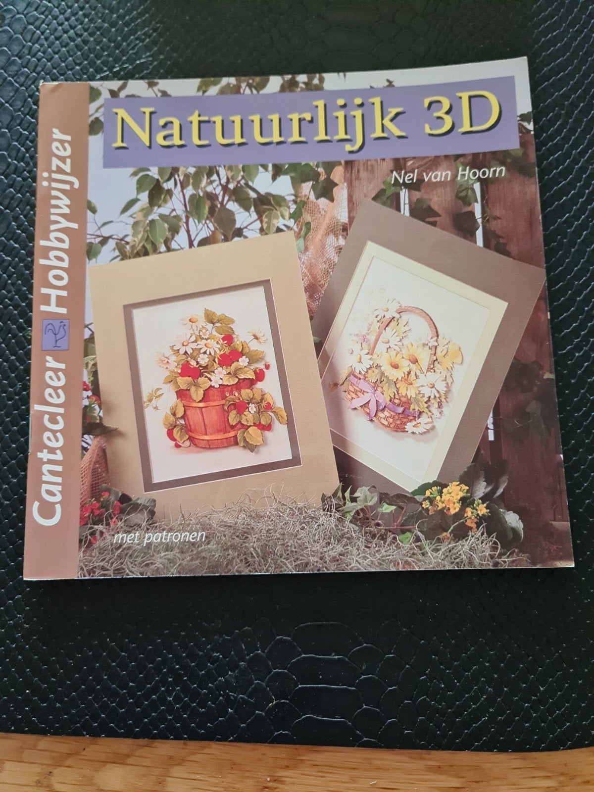 N. van Hoorn - Natuurlijk 3D, Ophalen of Verzenden, Zo goed als nieuw, N. van Hoorn