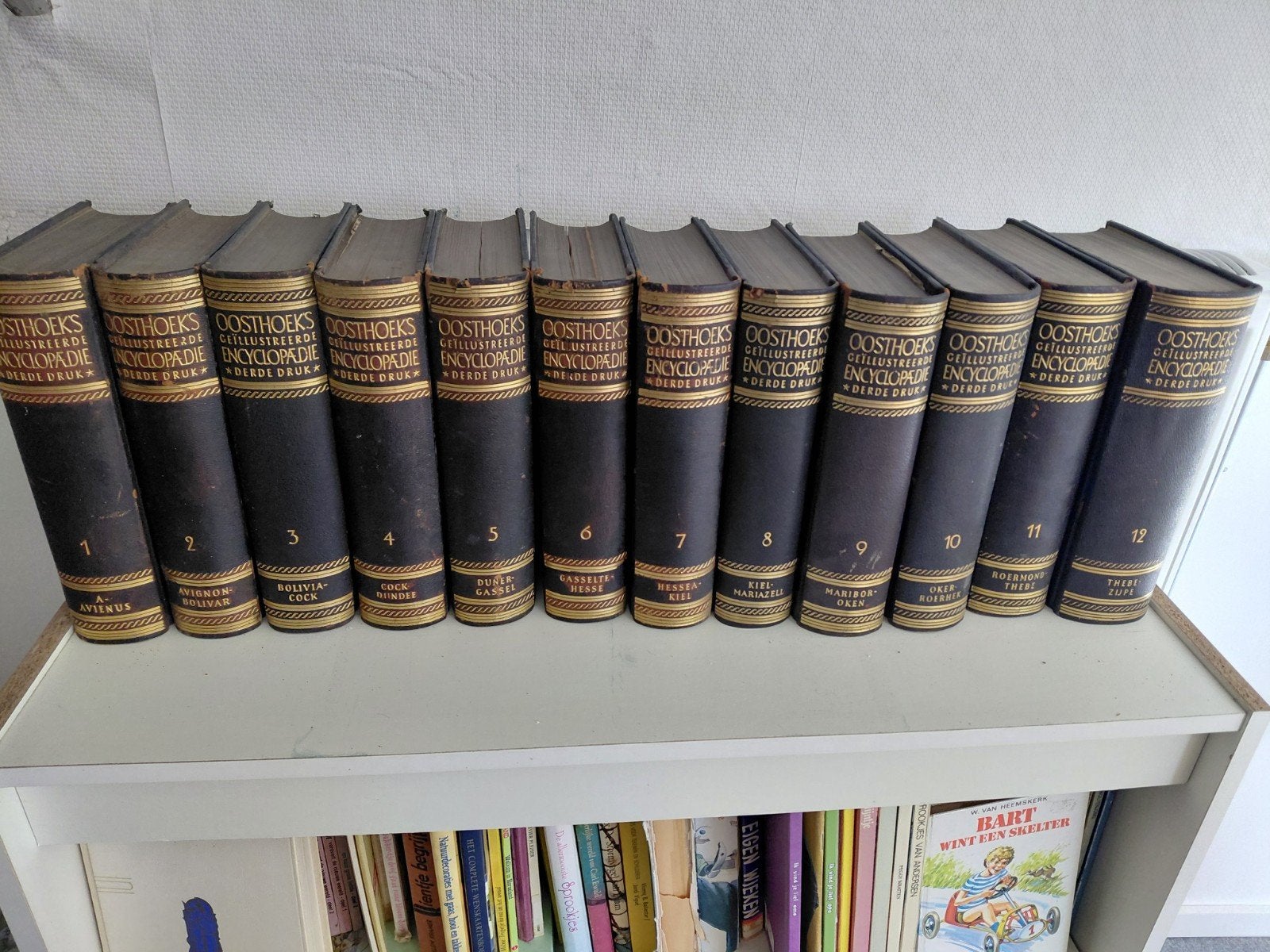Oosthoek's Geïllustreerde Encyclopaedie - Complete Serie, Ophalen, Gelezen, Algemeen, Complete serie