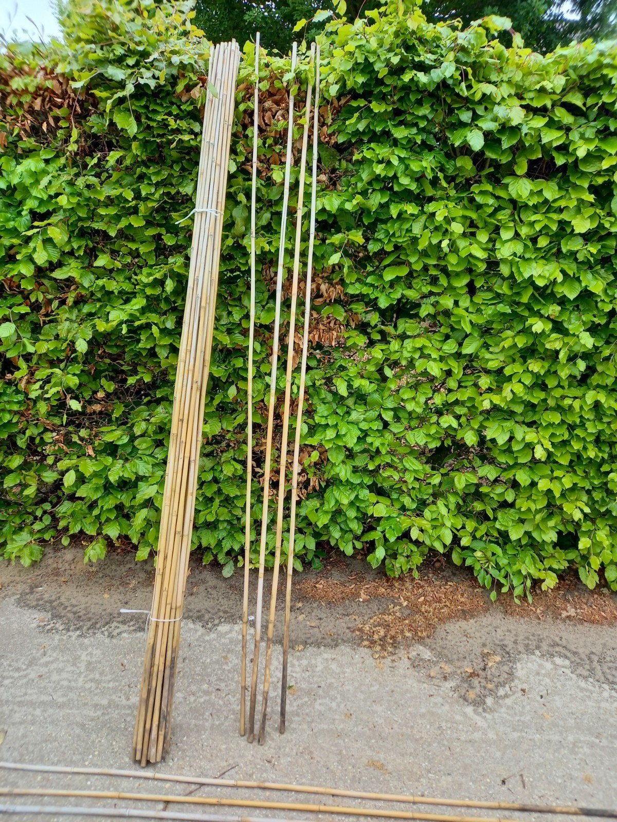 Tonkinstokken bamboestokken, Tuin en Terras, Palen, Balken en Planken, Ophalen, Minder dan 180 cm, Palen