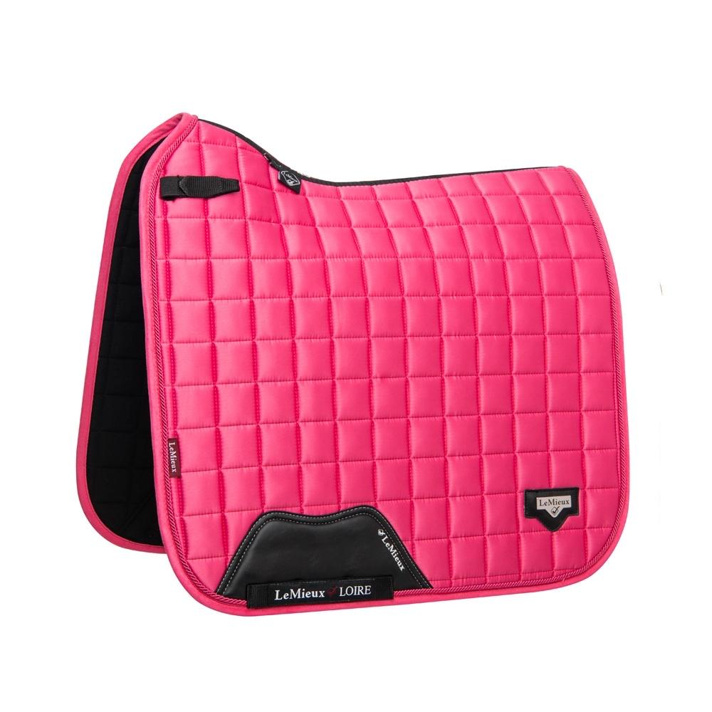 Lemieux watermelon dekje, Ophalen, Dressuur