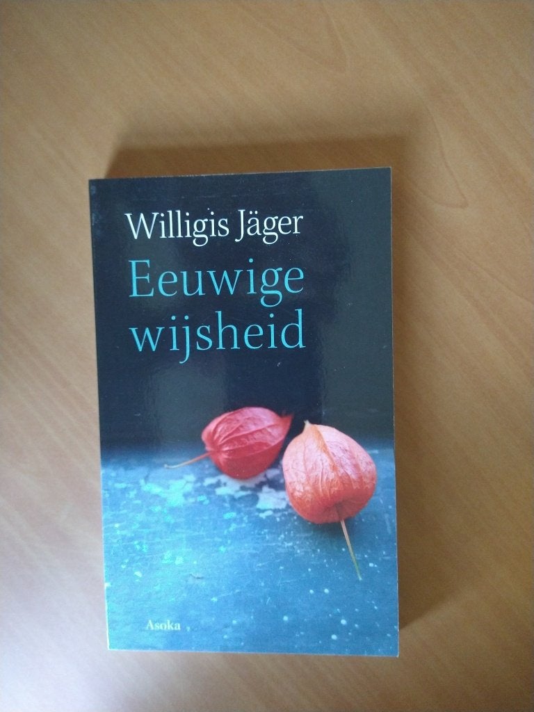 Jäger, Willigis - Eeuwige wijsheid, Ophalen of Verzenden, Zo goed als nieuw, Tarot of Kaarten leggen, Overige typen