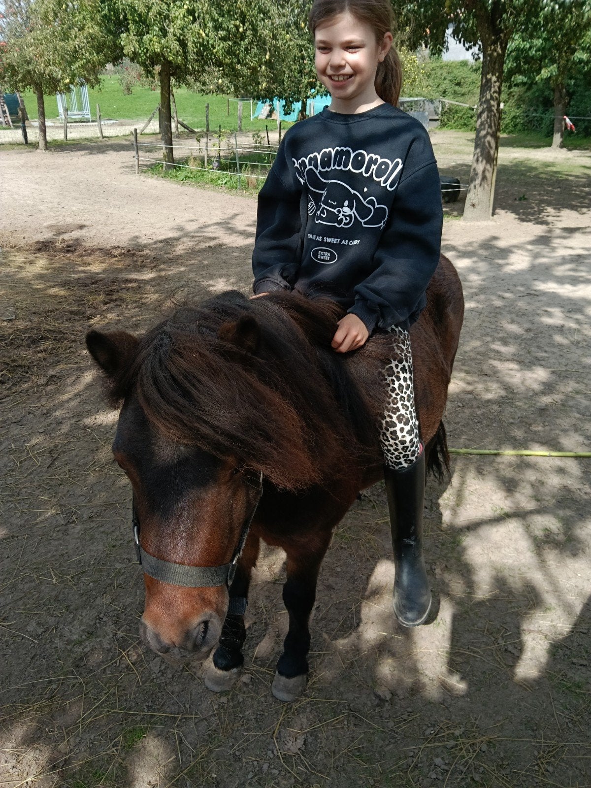 grote lieve shet ruin van 5, Stalling