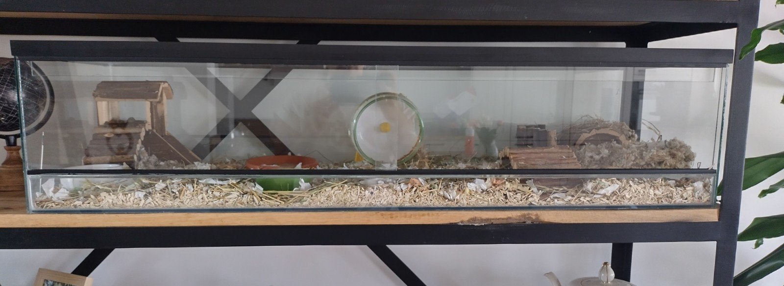 Glazen hamsterterrarium, Dieren en Toebehoren, 75 tot 110 cm, Ophalen, Minder dan 60 cm, Hok