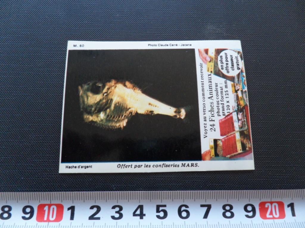 sticker confiseries MARS - vis hache d'argent, Verzamelen, Ophalen, Zo goed als nieuw