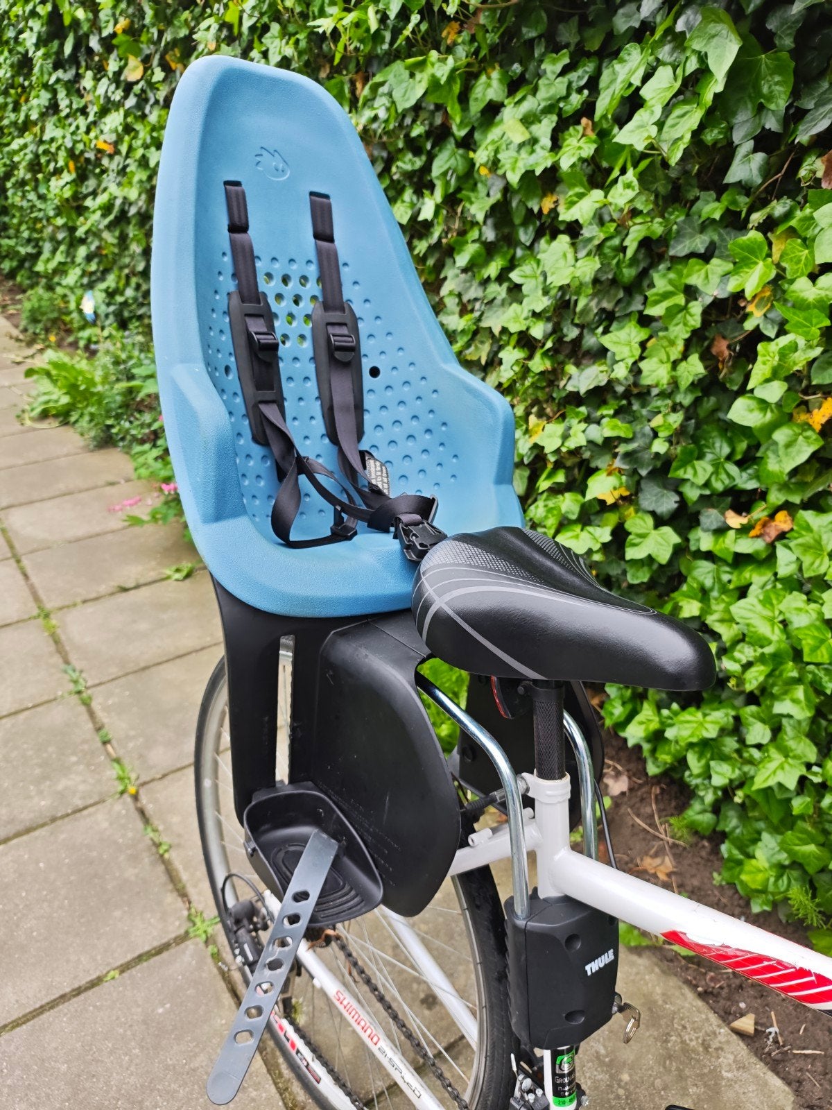 Thule Yepp 2 Maxi fietsstoeltje - Achterzitje, Ophalen, Zo goed als nieuw