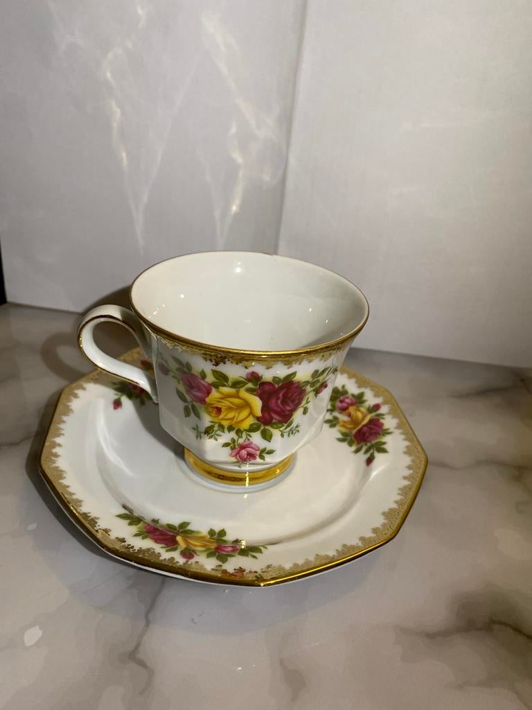 Vintage Winterling Marktleuthen Bavaria kop en schotel, Ophalen