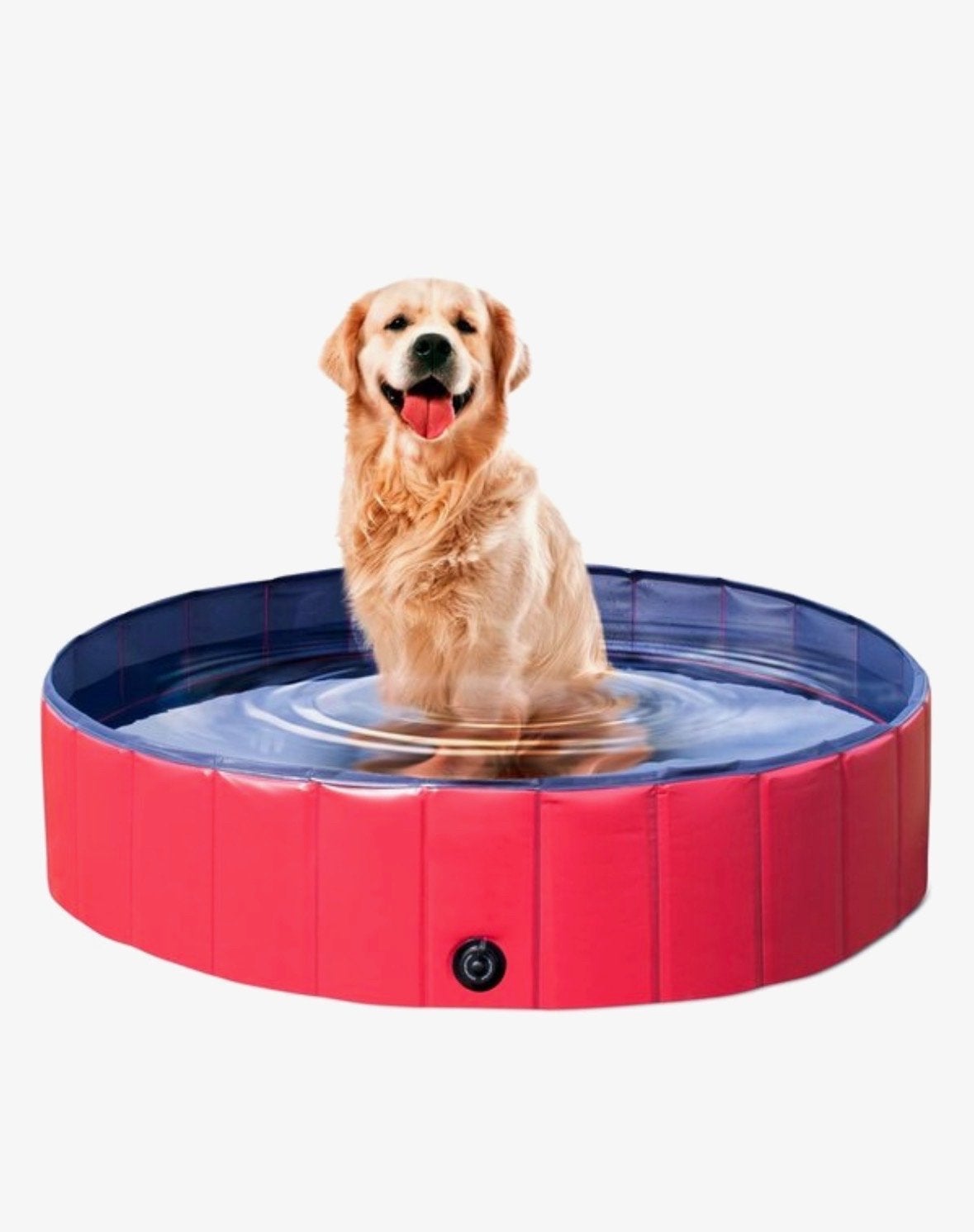 Honden zwembad hondenbadje, Ophalen
