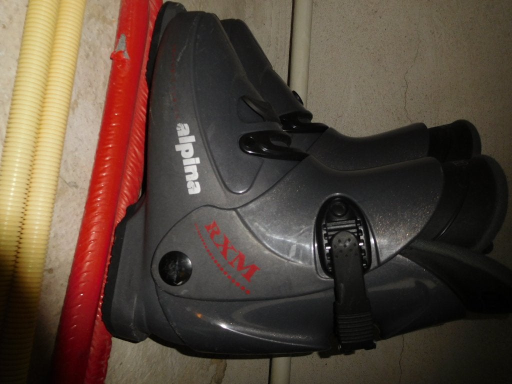 ALPINA grijze heren skischoenen maat 43, Sport en Fitness, Overige merken, 160 tot 180 cm, Gebruikt, Schoenen