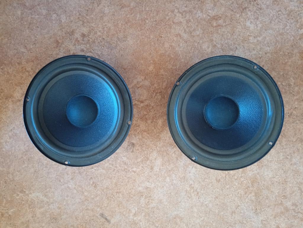 Hi-fi woofers BNS 60W, Ophalen of Verzenden, Zo goed als nieuw, 60 tot 120 watt, Overige merken