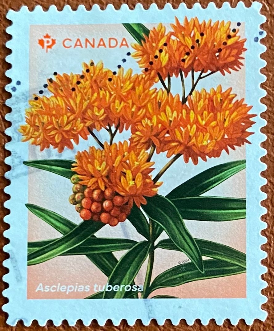 Canada M 4034, Ophalen of Verzenden, Gestempeld, Noord-Amerika