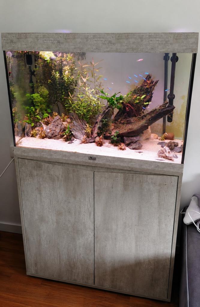 Aqualantis spendid 80cm aquarium 150 liter, Dieren en Toebehoren, Vissen | Aquaria en Toebehoren, Ophalen, Gebruikt, Leeg aquarium