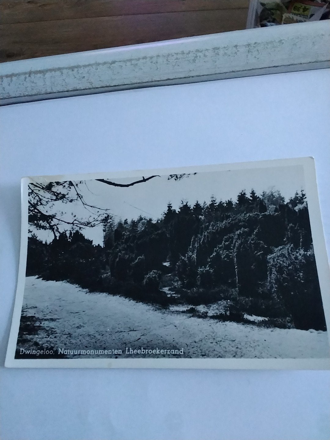 Dwingeloo Natuurmonumenten Lheebeukerzand -, Verzamelen, Ansichtkaarten | Nederland, 1960 tot 1980, Ophalen of Verzenden