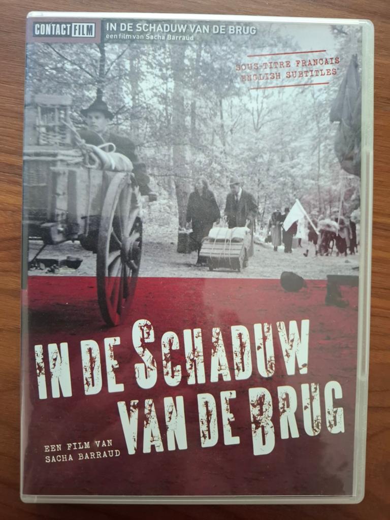 In de schaduw van de brug, Alle leeftijden, Ophalen of Verzenden, Zo goed als nieuw