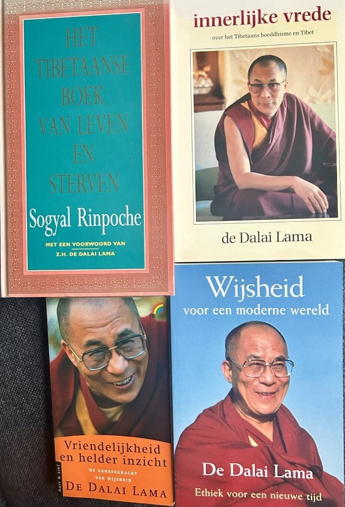 Geloof, Boeken, Godsdienst en Theologie, Ophalen of Verzenden, Gelezen, Diverse auteurs, Boeddhisme