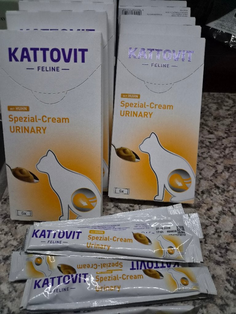 voeding nier problemen kat, Dieren en Toebehoren, Ophalen of Verzenden, Kat