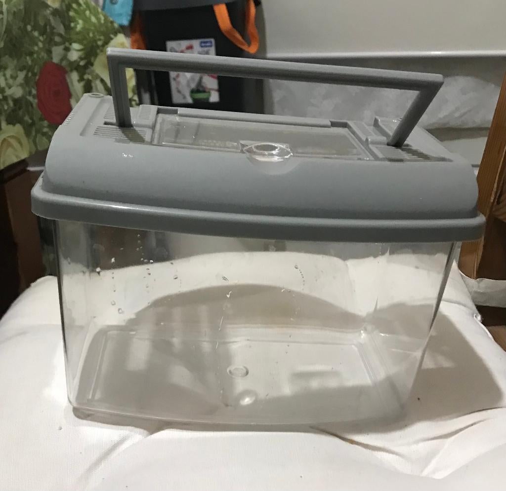 Transportbox voor vissen, insecten of reptielen, Ophalen of Verzenden, Zo goed als nieuw, Terrarium of Paludarium