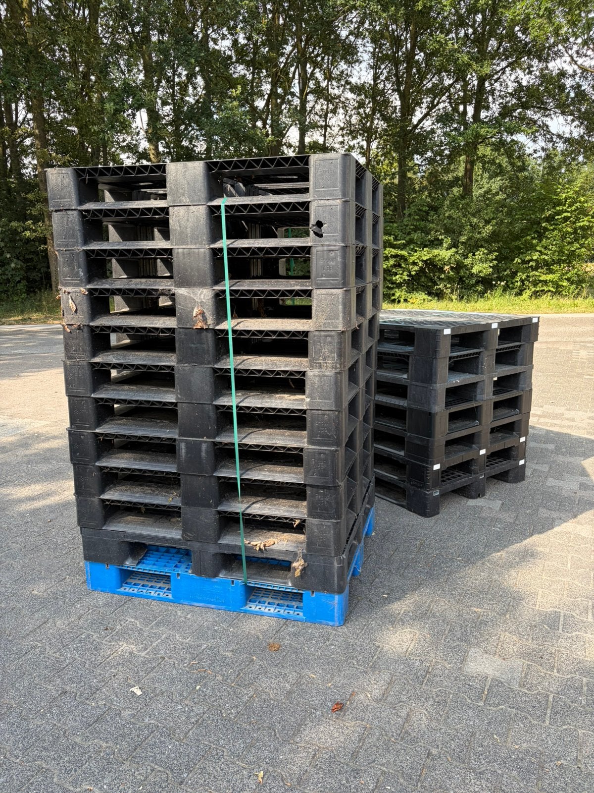 Plastic pallets, Ophalen, 100 cm of meer, 60 cm of meer, Overige typen