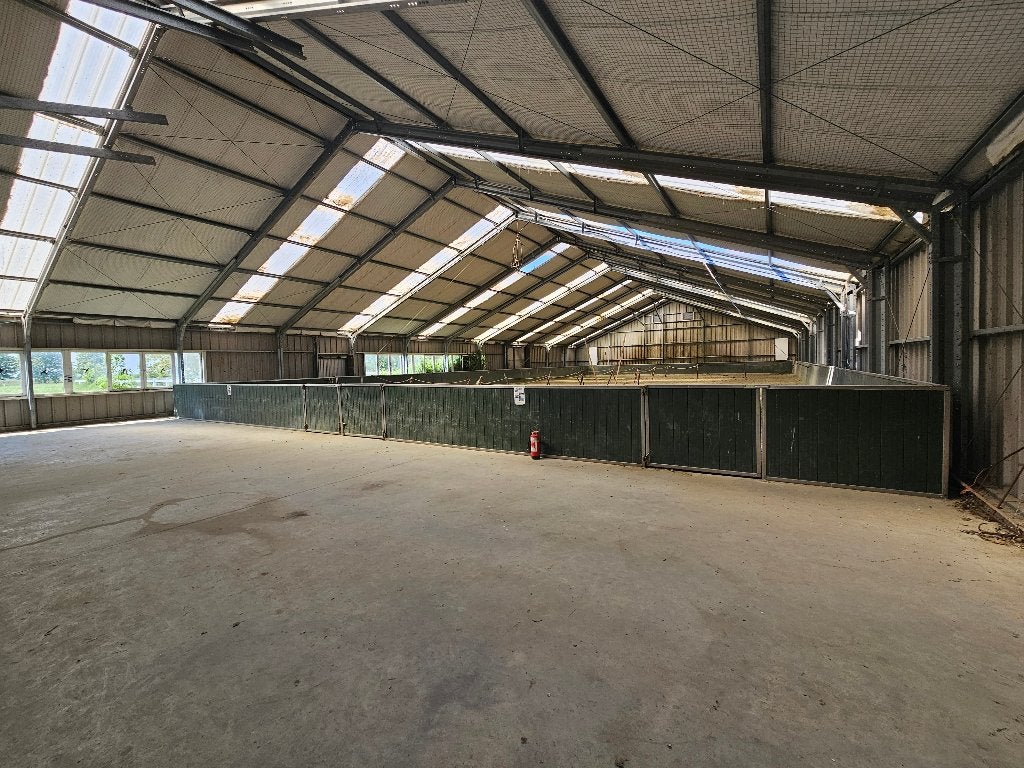 Loods met binnen rijbak, Dieren en Toebehoren, Stalling en Weidegang, 4 paarden of pony's of meer