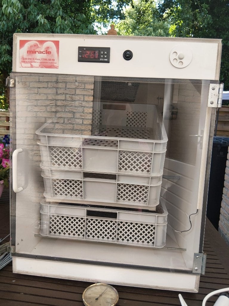 Miracle DD Broedmachine met automatische keerfunctie., Dieren en Toebehoren, Ophalen, Gebruikt, Broedmachine