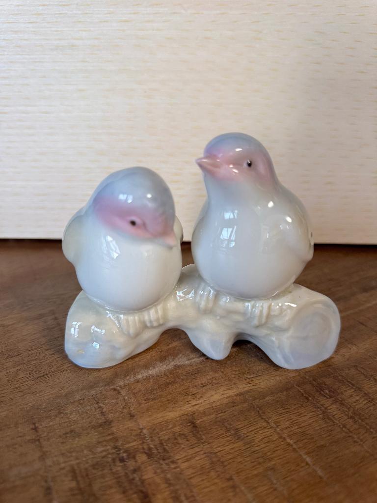 Porcegama Valencia 2 Vogeltjes, Ophalen of Verzenden, Zo goed als nieuw, Dier