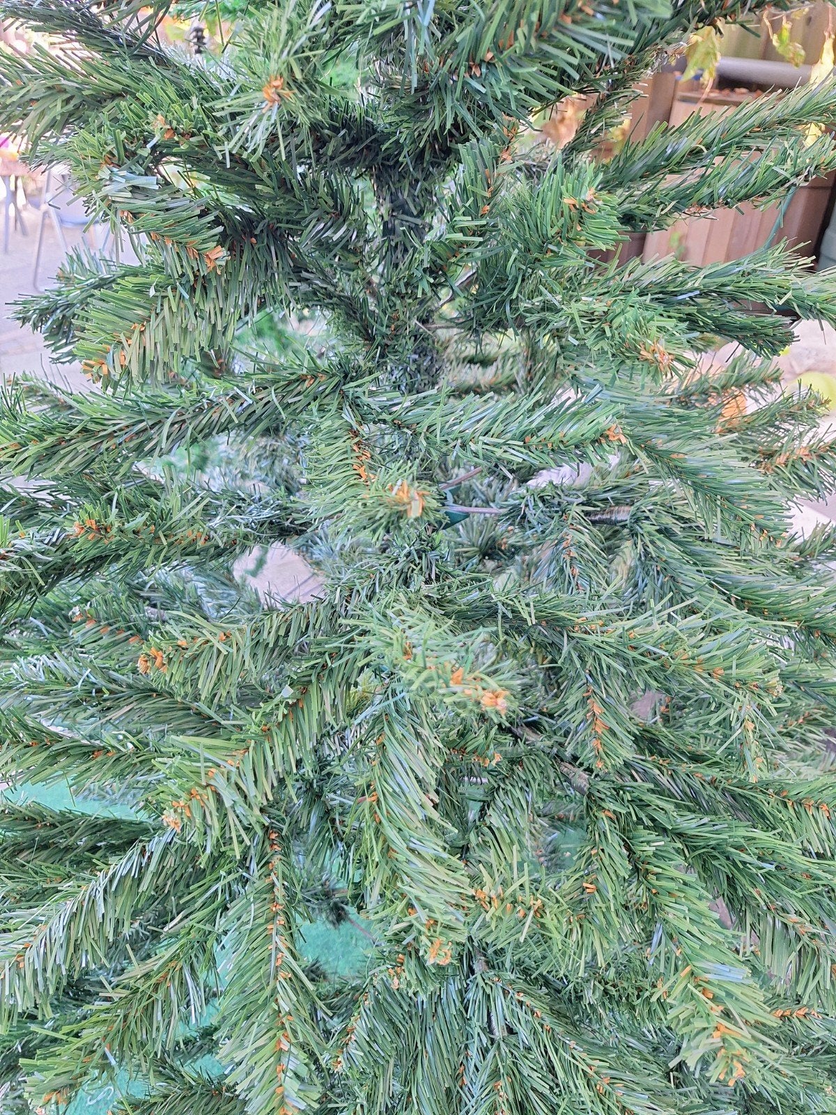 kerstboom, Ophalen, Gebruikt