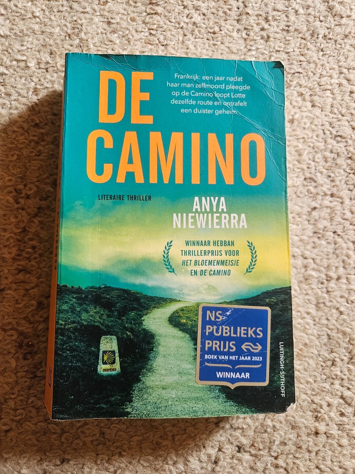 De Camino - Anya Niewierra (NS Publieksprijs winnaar), Boeken, Ophalen of Verzenden, Zo goed als nieuw, Anya Niewierra, Nederland