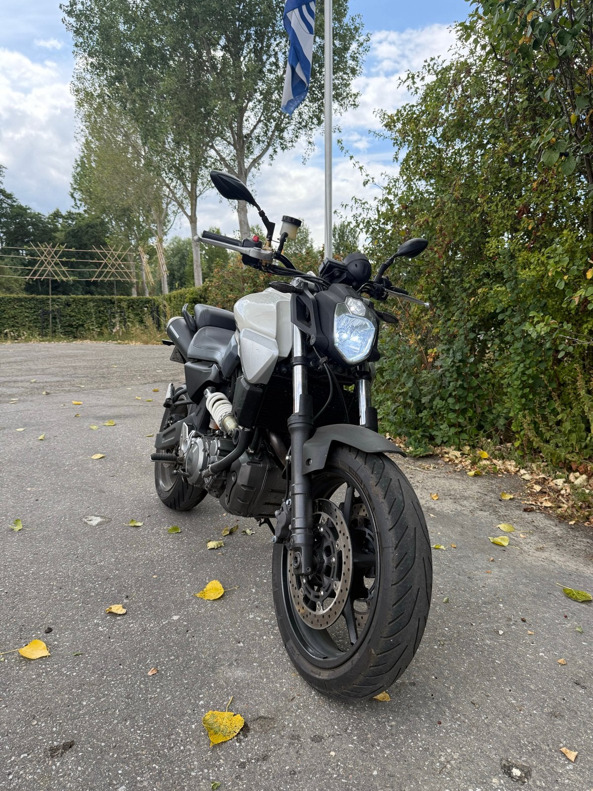 Yamaha MT-03 (2006) - 36.500km, Motoren, Motoren | Yamaha, Gebruikt, Particulier, Meer dan 35 kW, Minimaal motorrijbewijs A2