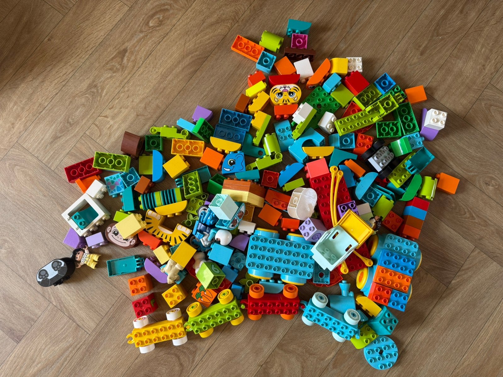 Duplo 200+ blokken (o.a. Dinoset + Treinset), Ophalen, Zo goed als nieuw