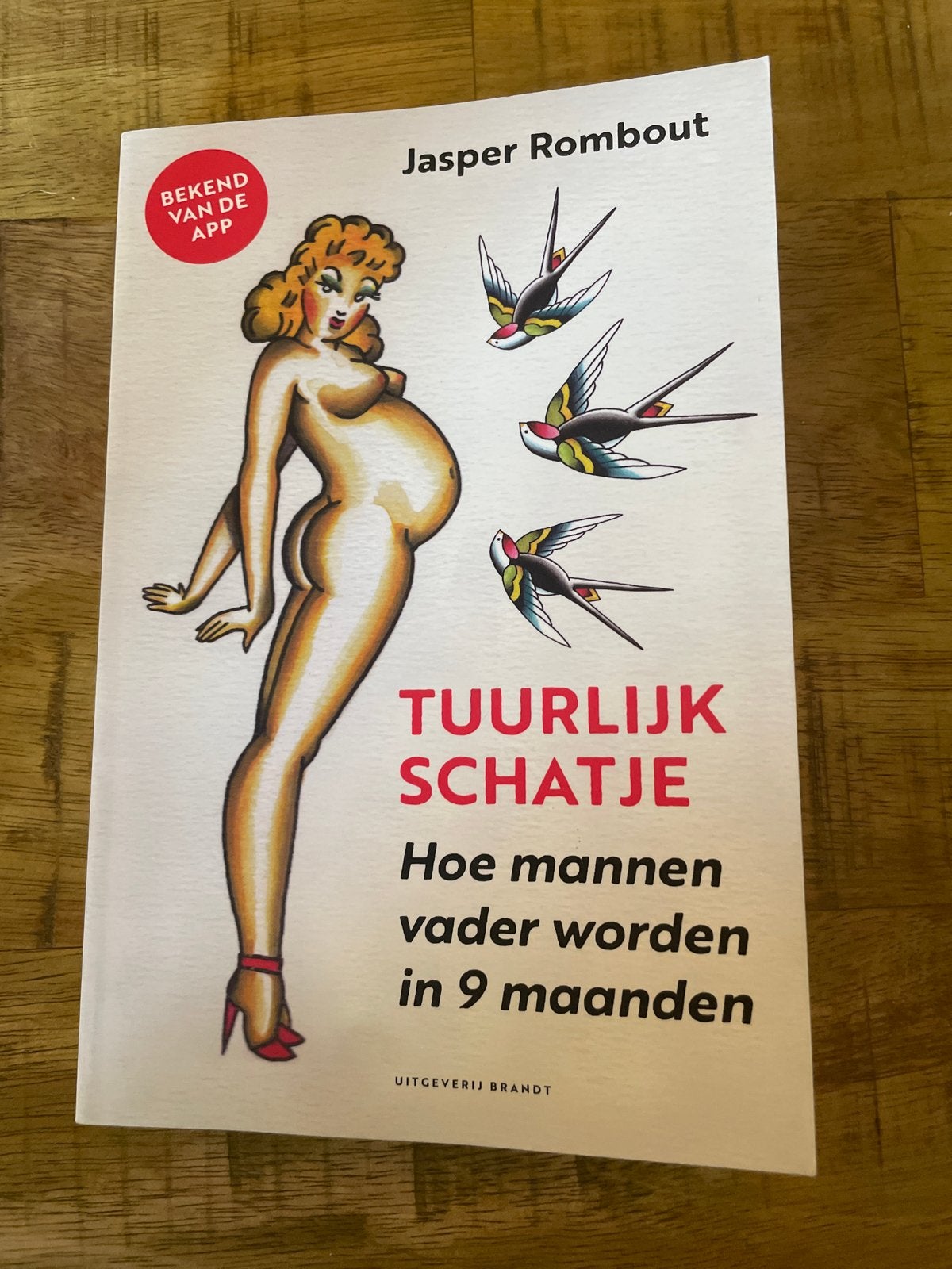 Tuurlijk Schatje: Hoe mannen vader worden in 9 maanden, Boeken, Ophalen of Verzenden, Gelezen, Zwangerschap en Bevalling