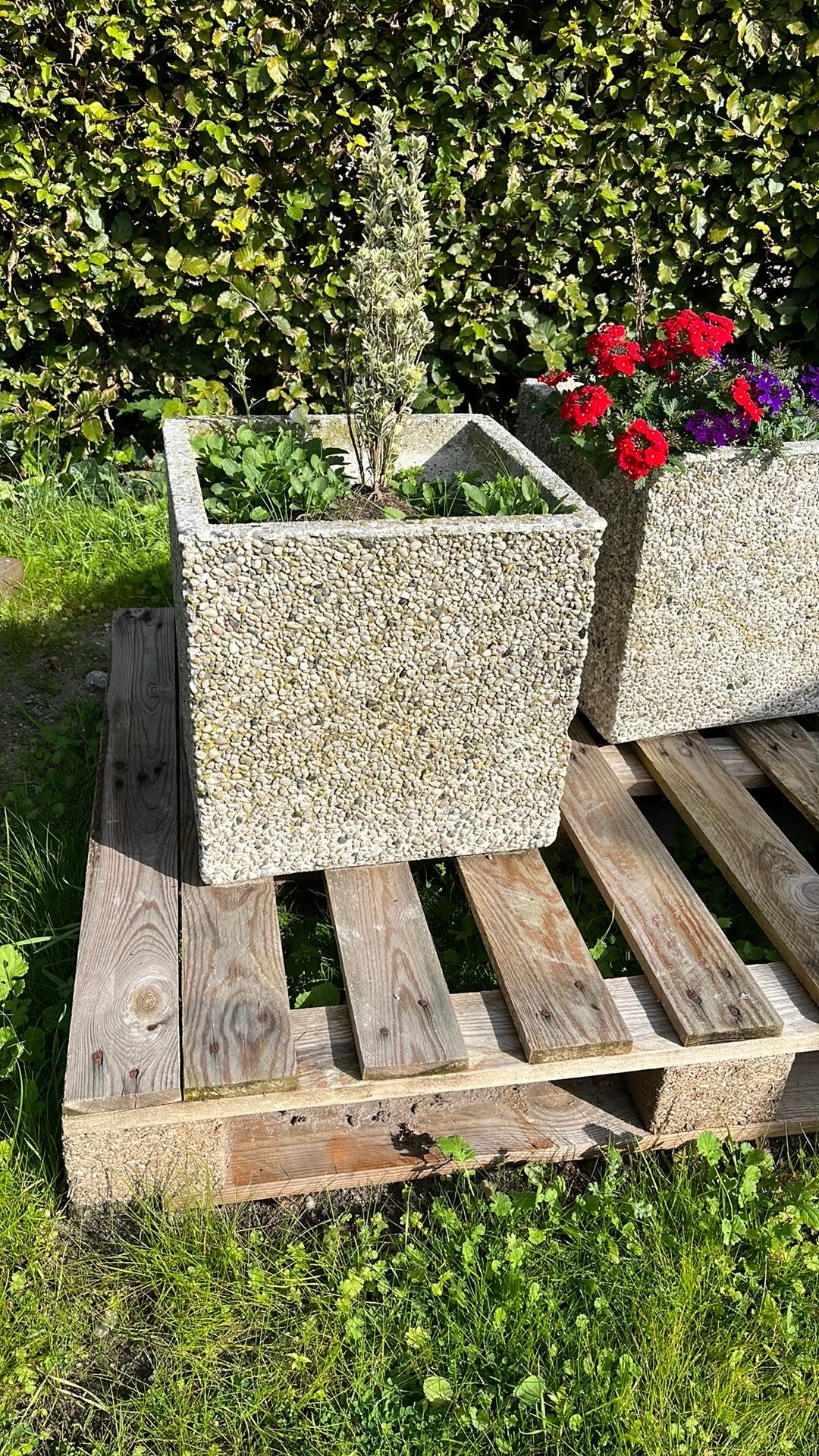 Bloembak, Ophalen, Gebruikt, Beton