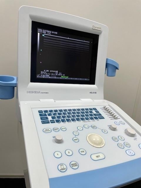 Echo apparaat Honda HS 2100, Ophalen, Gebruikt