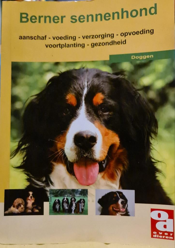 Berner sennen hond boek - Echt ALLES wat je moet weten! zgan, Ophalen of Verzenden, Zo goed als nieuw, Honden, Over Dieren