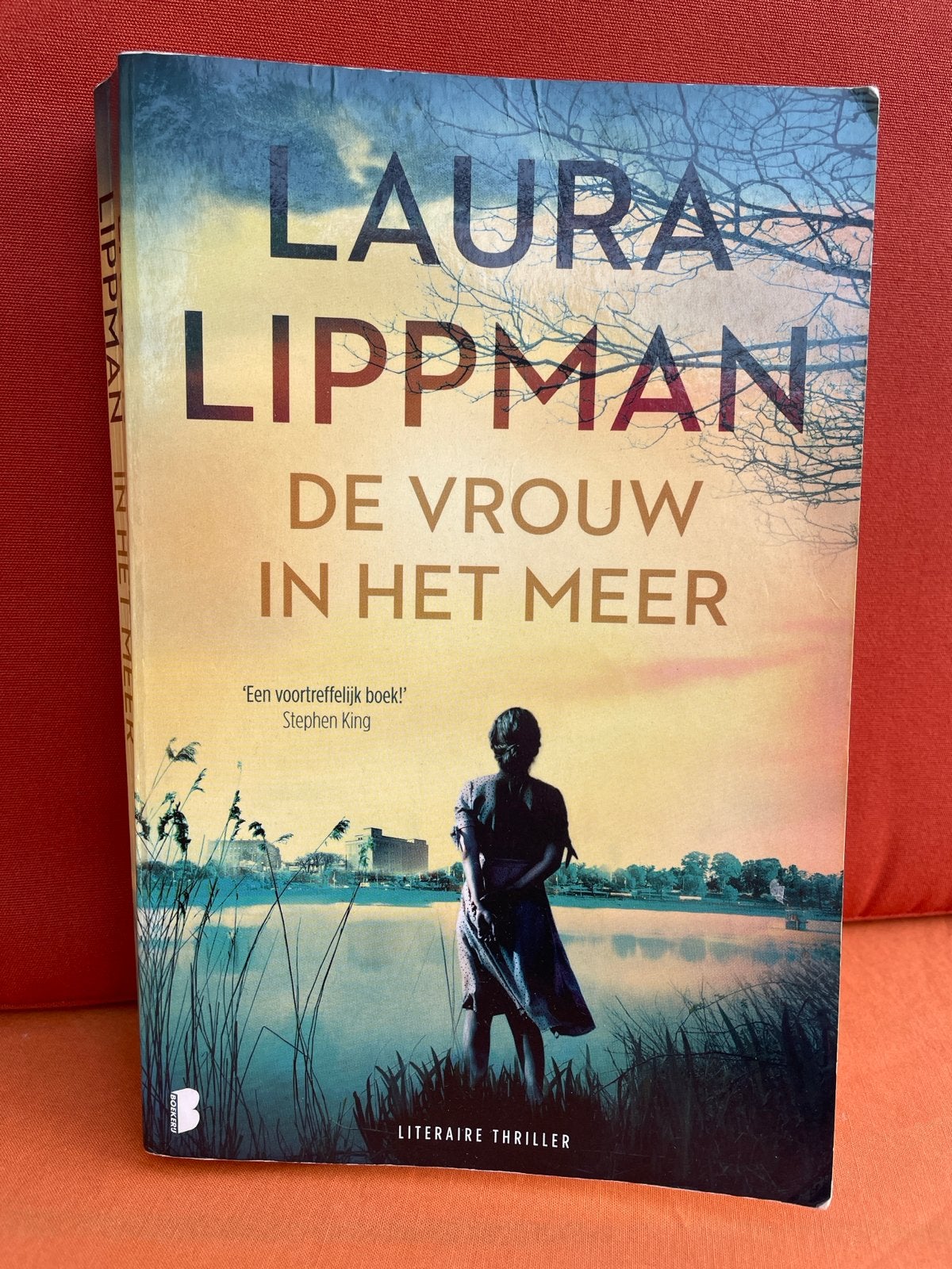De vrouw in het meer - Laura Lippman (Literaire thriller), Boeken, Ophalen of Verzenden, Gelezen