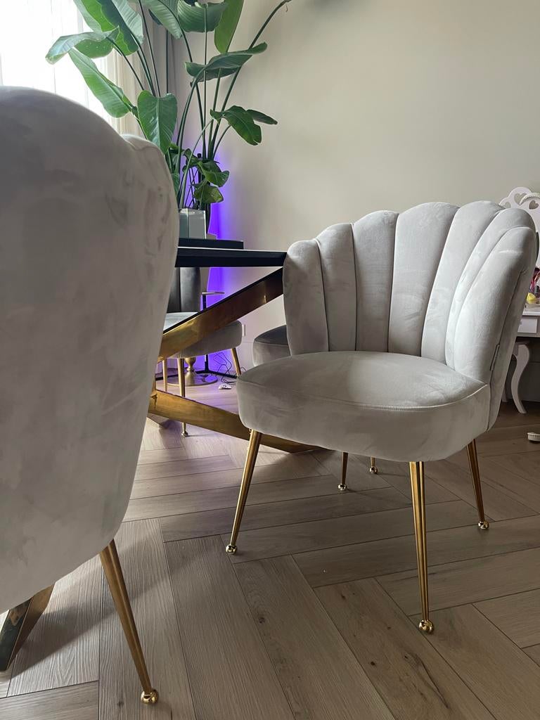 6 Richmond Pippa Perla eetkamerstoelen, Ophalen, Gebruikt, Overige kleuren, Stof