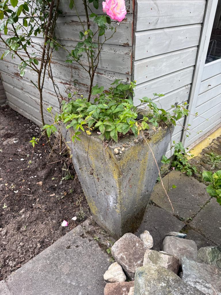 Stenen bloempot / bloembak, Steen, Gebruikt, Tuin, Rechthoekig